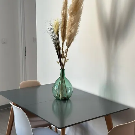 Apartamento 2 Pieces Parking, Plein Centre Au Calme Climatise Foix